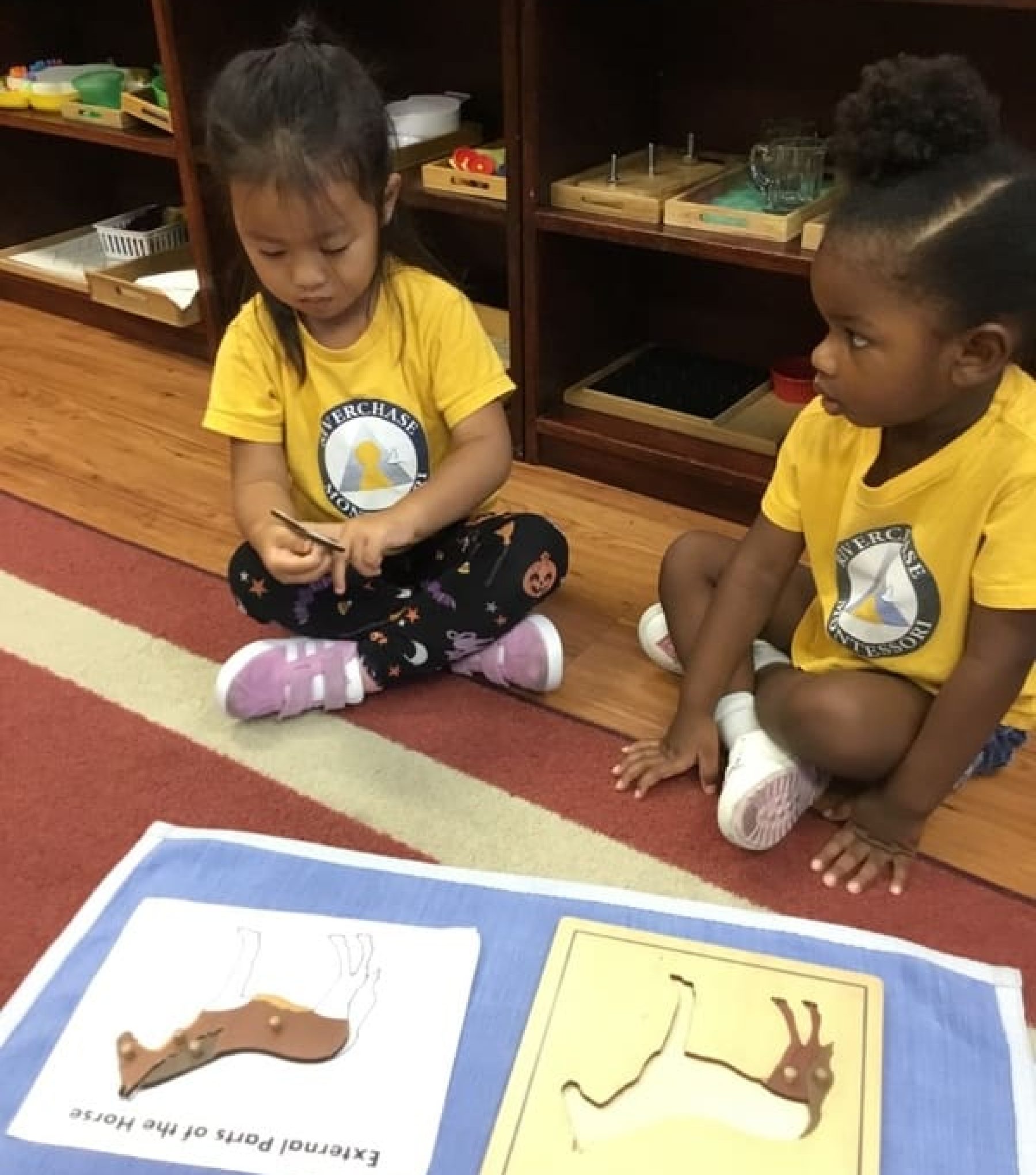 Two young children are sitting on a carpeted floor, engaging with a wooden puzzle featuring animal shapes. They both wear yellow shirts and appear focused on the activity in a classroom setting.